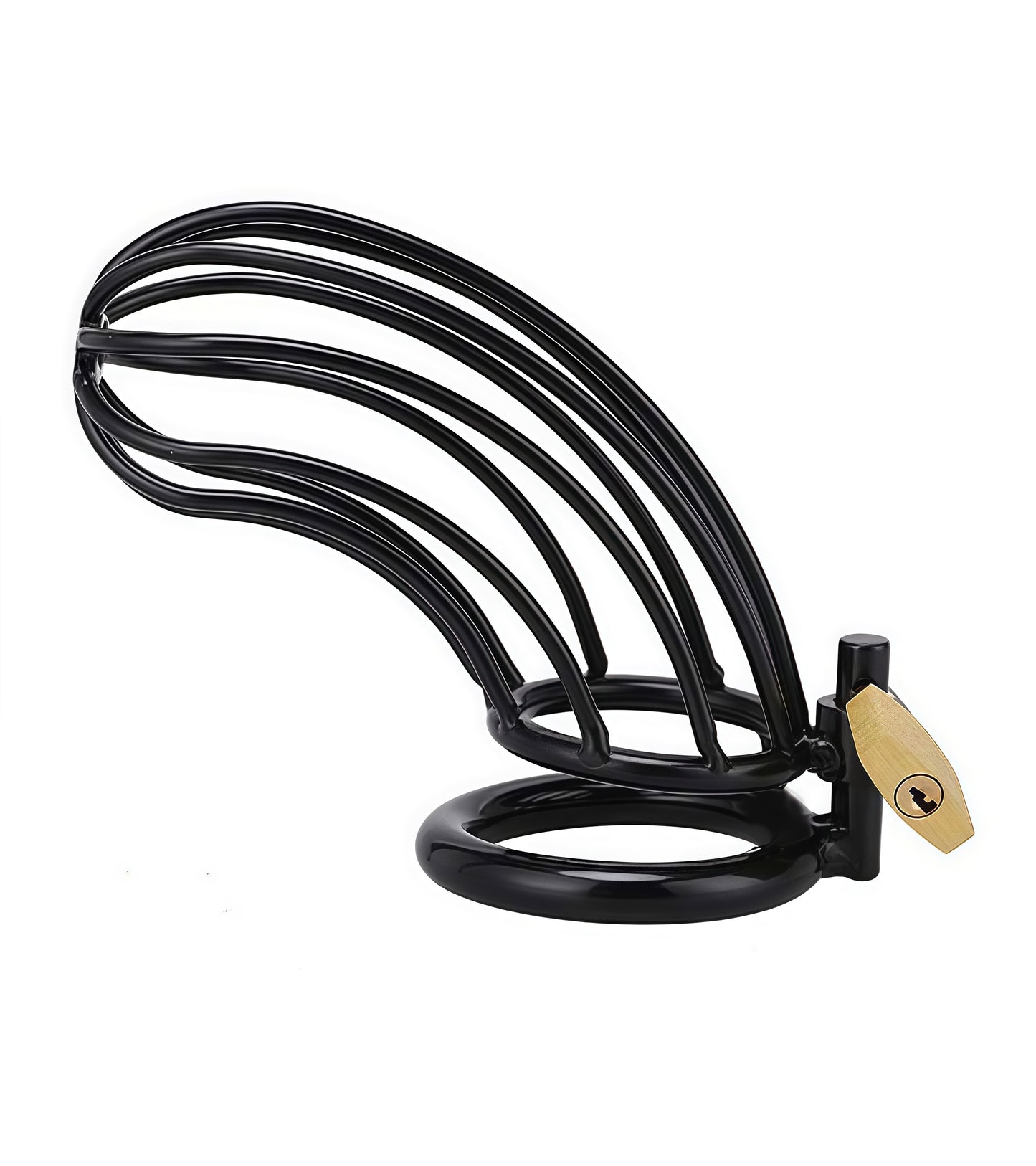 Black Bird Chastity Cage – Premium Stainless Steel Cock Cage for Total Control and Denial