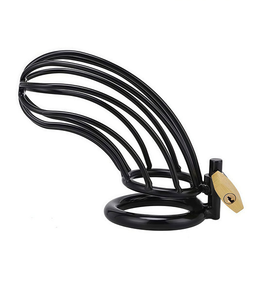 Black Bird Chastity Cage – Premium Stainless Steel Cock Cage for Total Control and Denial